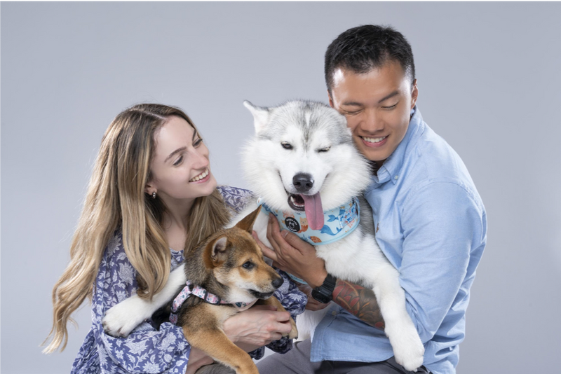 徒步旅行者和獵犬最喜歡的徒步旅行！