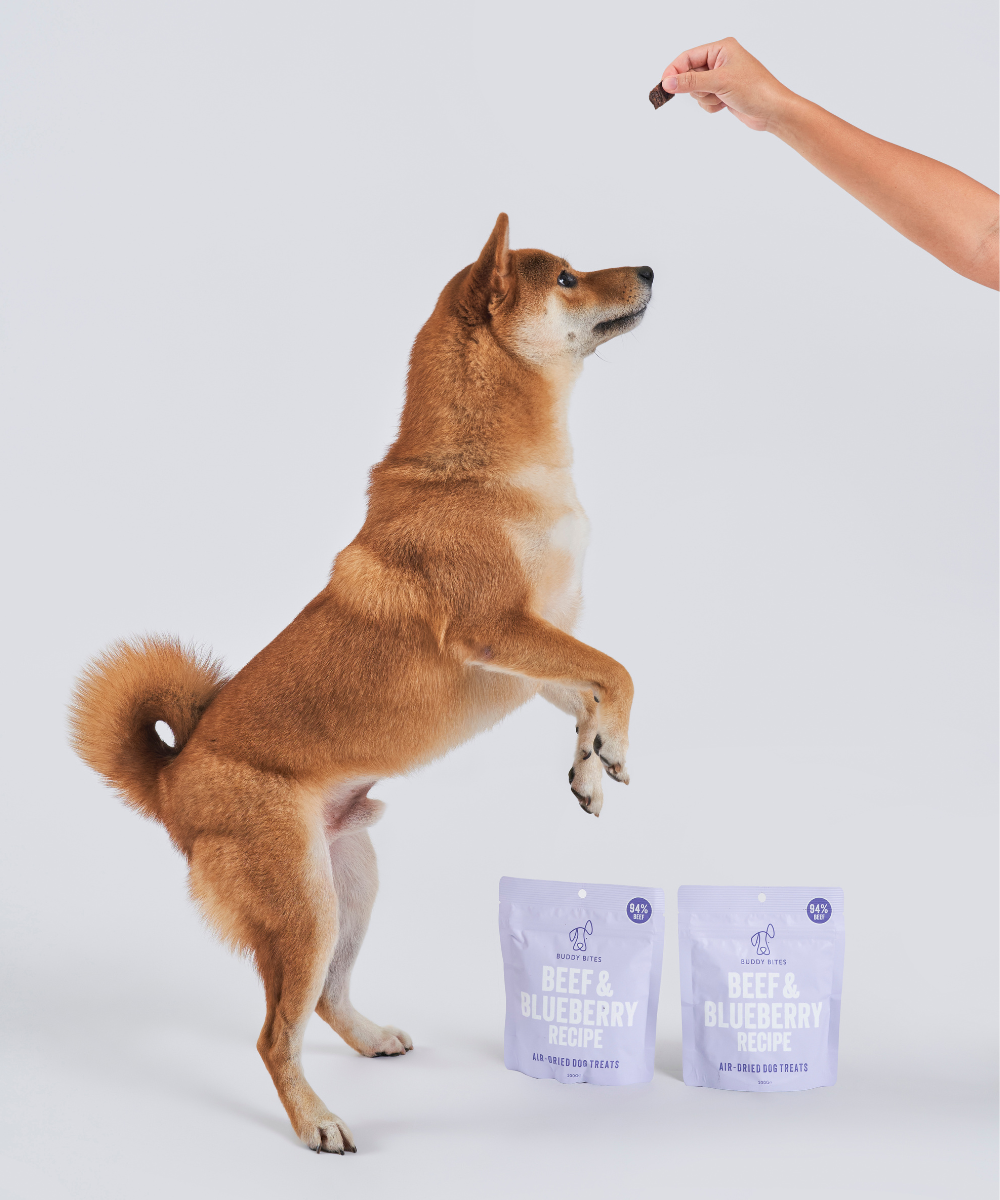 3 Pack Beef & Blueberry Air Dried Dog Treats