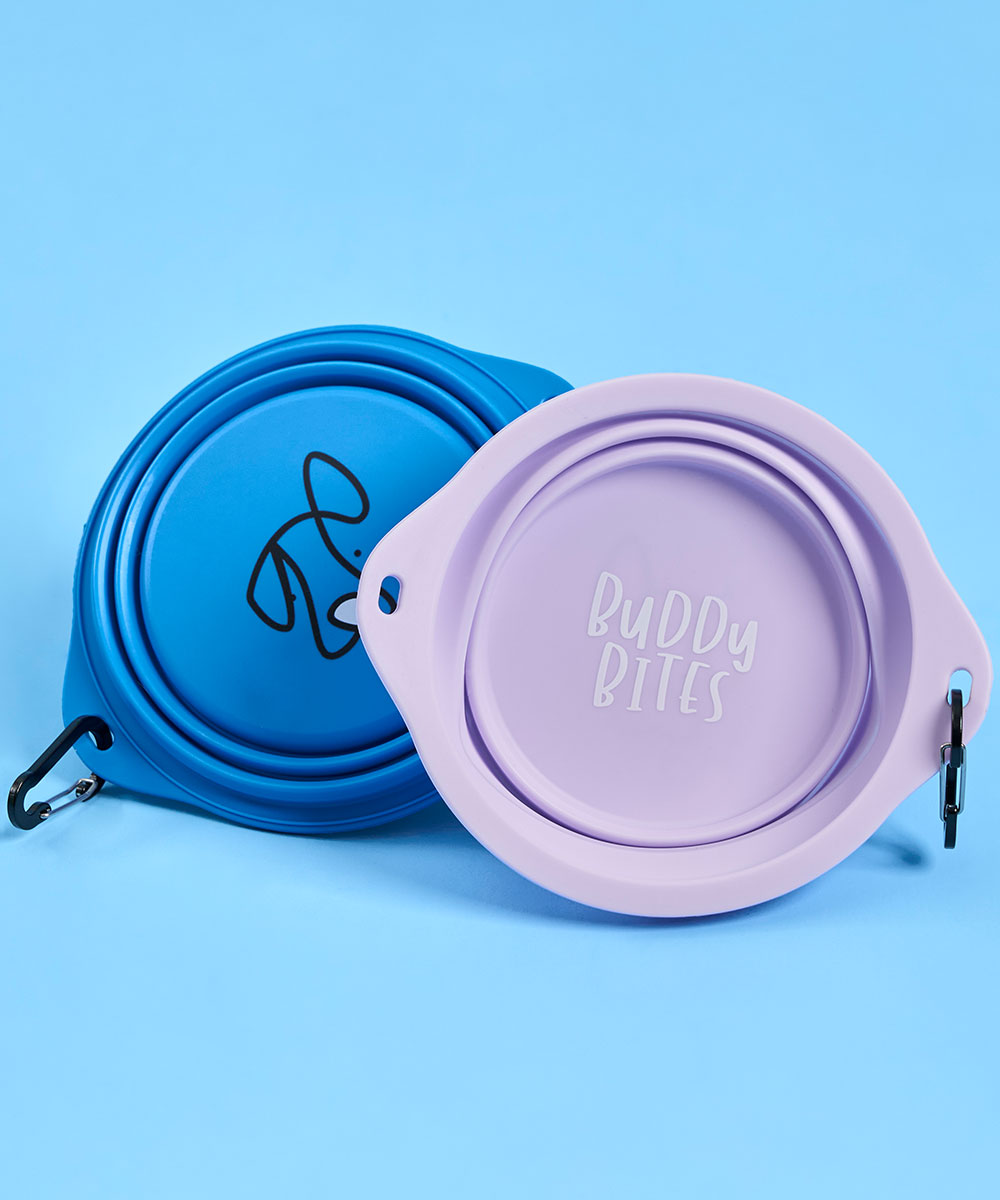 Large Portable Dog Bowl