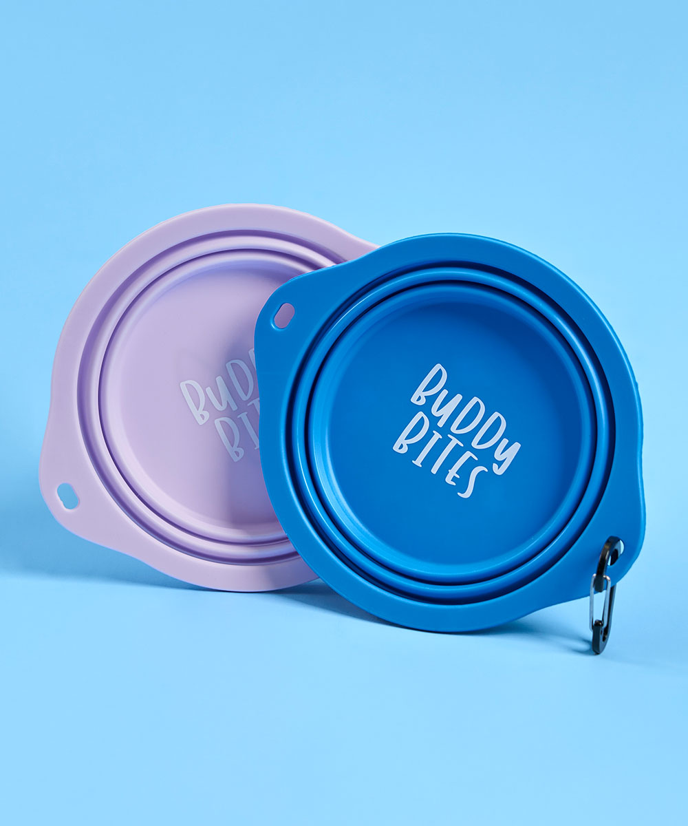 Large Portable Dog Bowl