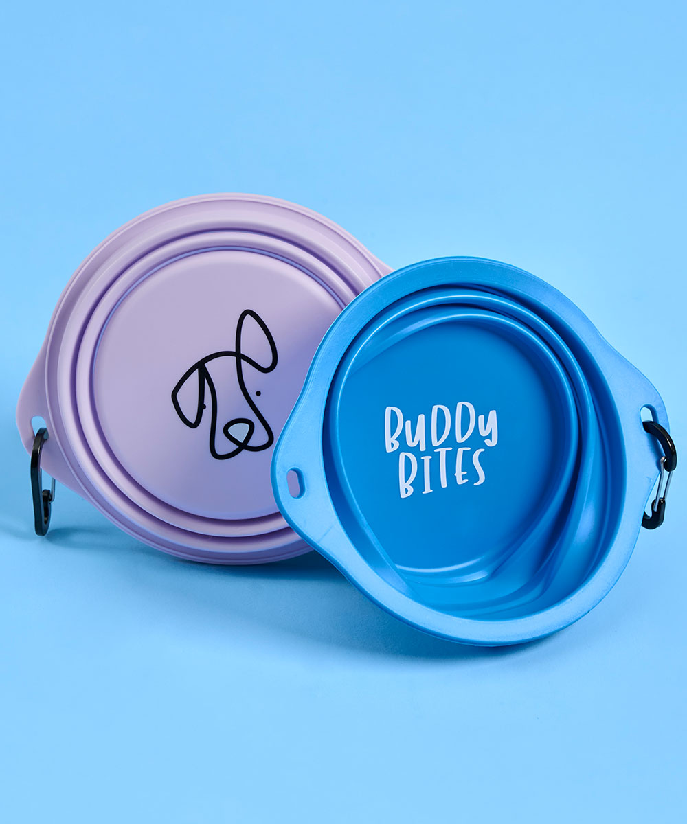 Large Portable Dog Bowl