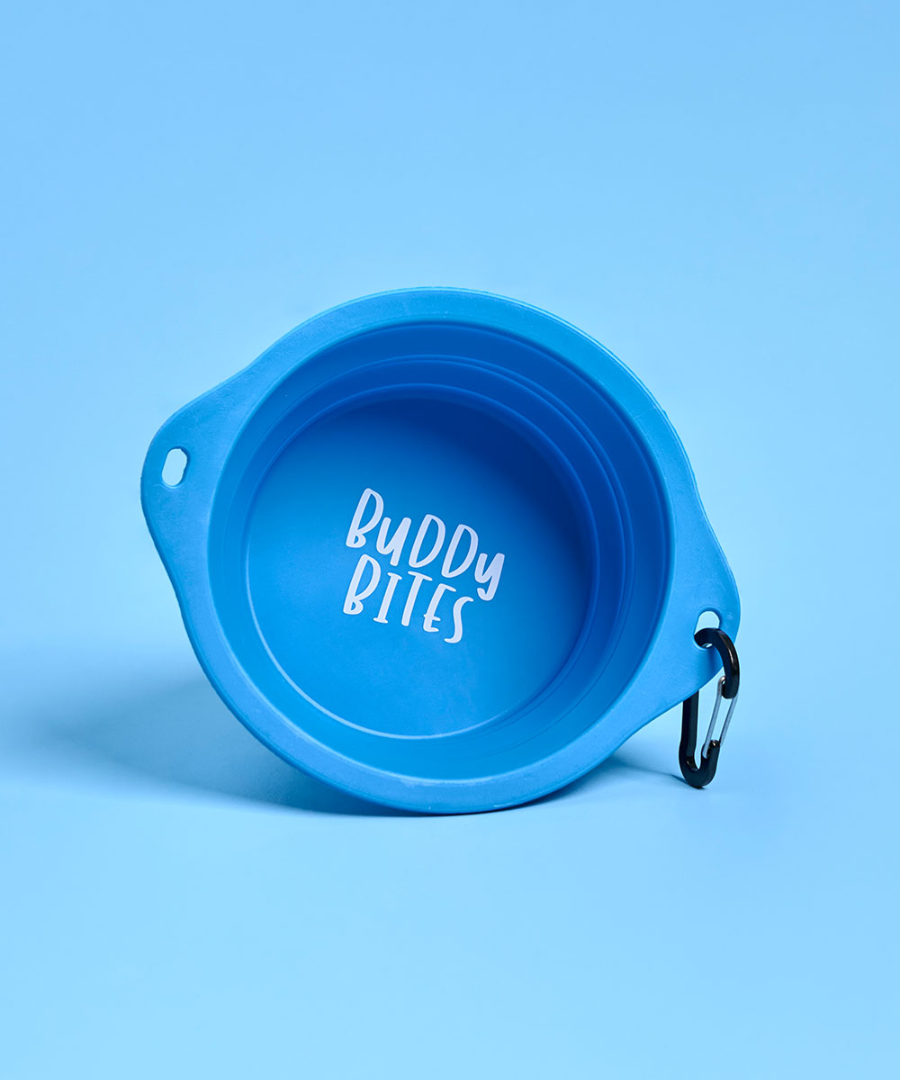 Large Portable Dog Bowl