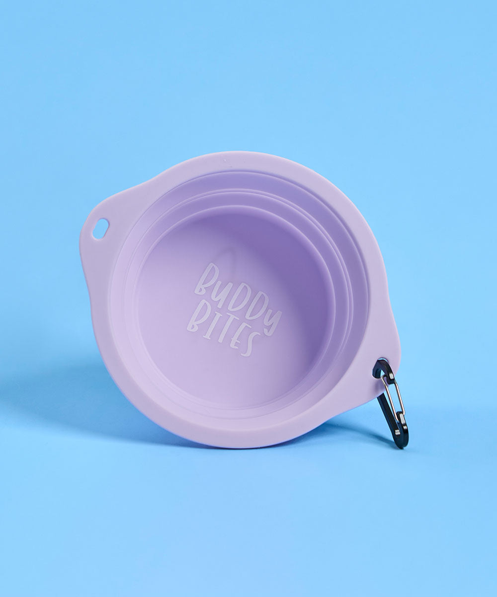 Large Portable Dog Bowl