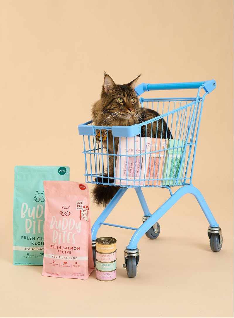 Cat Food Topper (Pouch) - Tuna with Pumpkin in Broth 70g