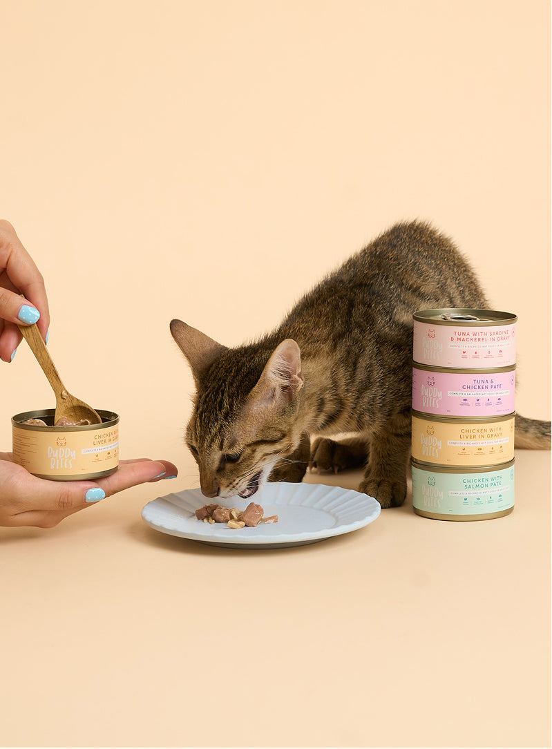 Cat Can - Chicken with Liver in Gravy 85g