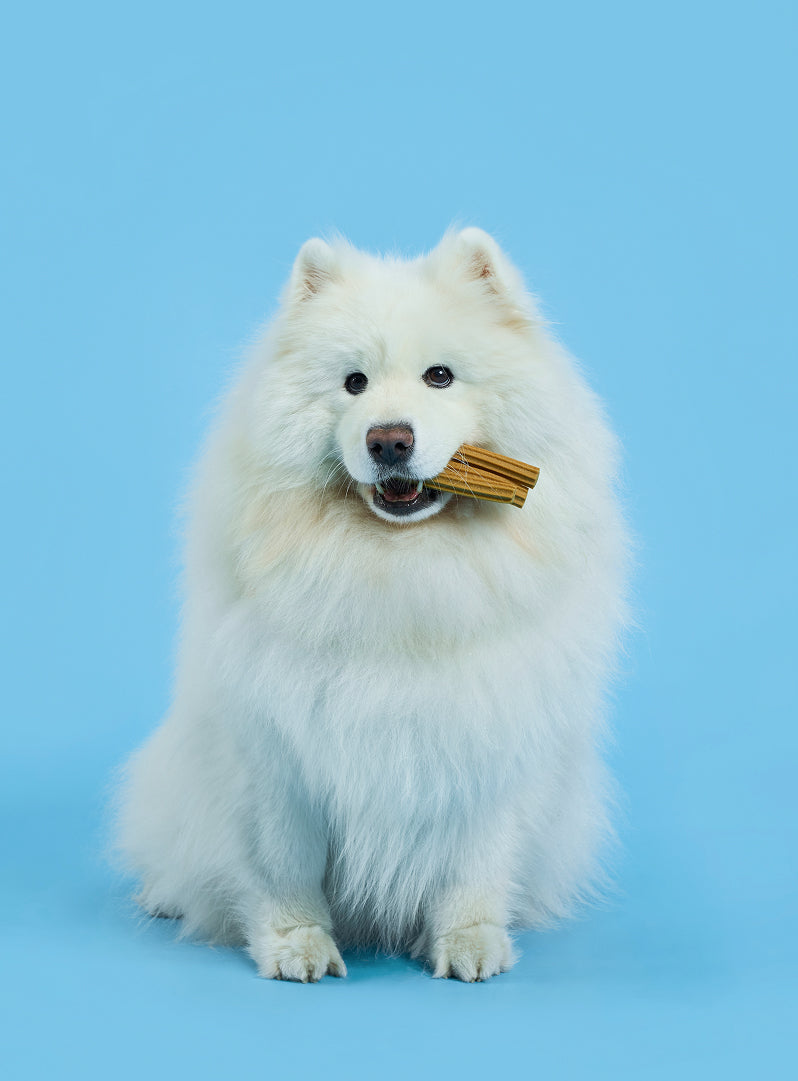 Dog Dental Sticks