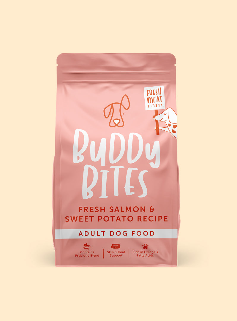 Adult Salmon Dry Dog Food