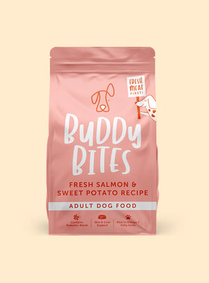 Adult Salmon Dry Dog Food
