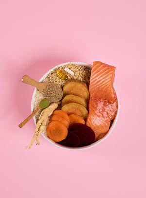 Adult Salmon Dry Dog Food