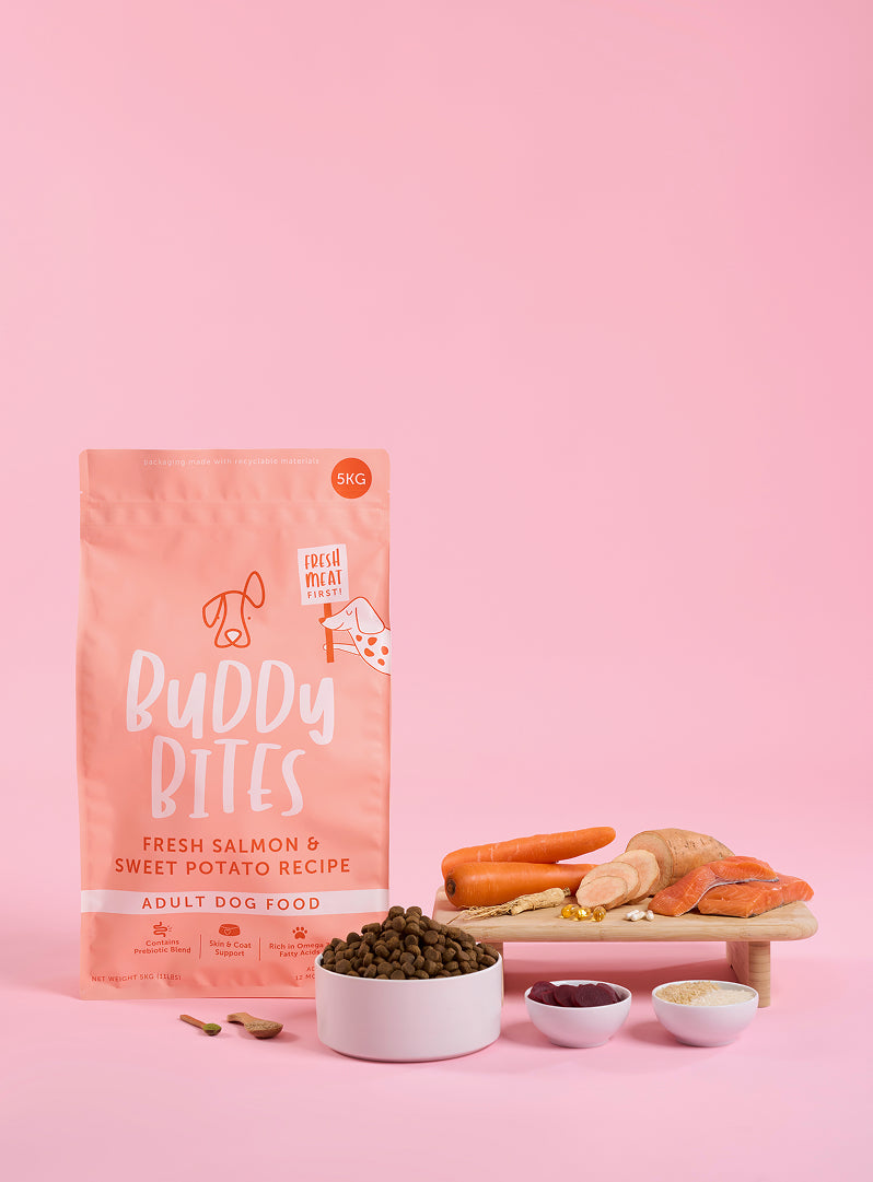 Adult Salmon Dry Dog Food