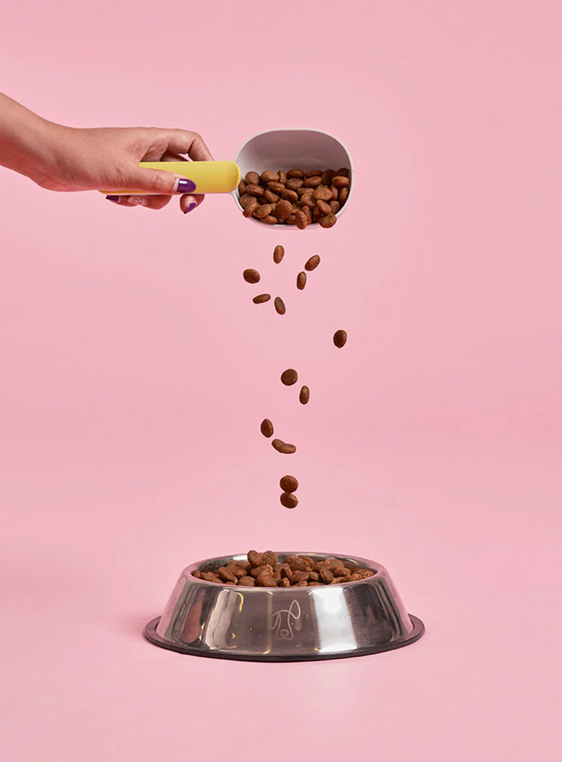 Adult Salmon Dry Dog Food