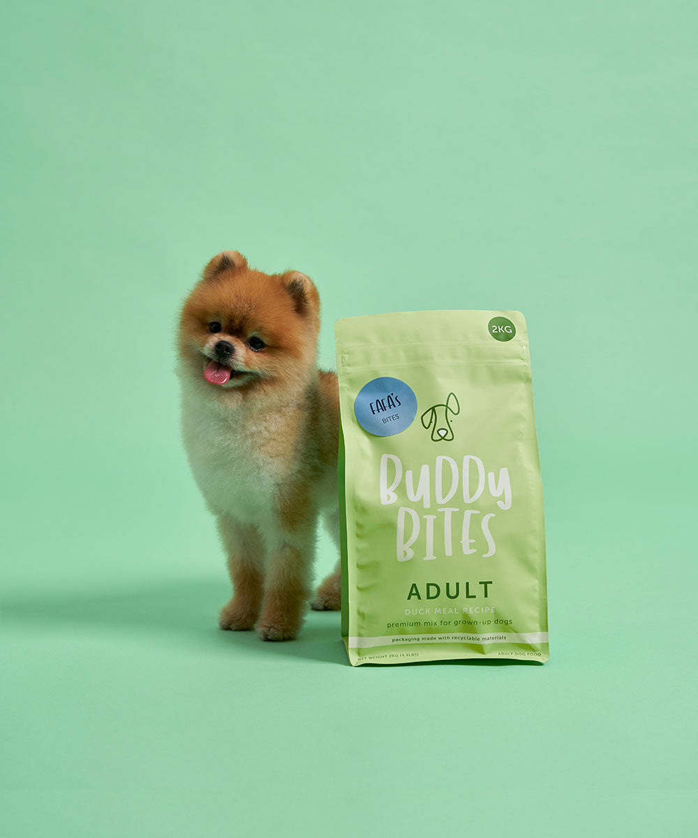Adult Duck Dry Dog Food 500g