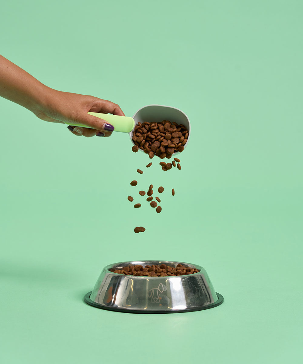 Adult Duck Dry Dog Food 500g