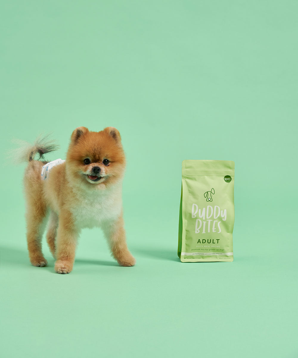 Adult Duck Dry Dog Food 500g