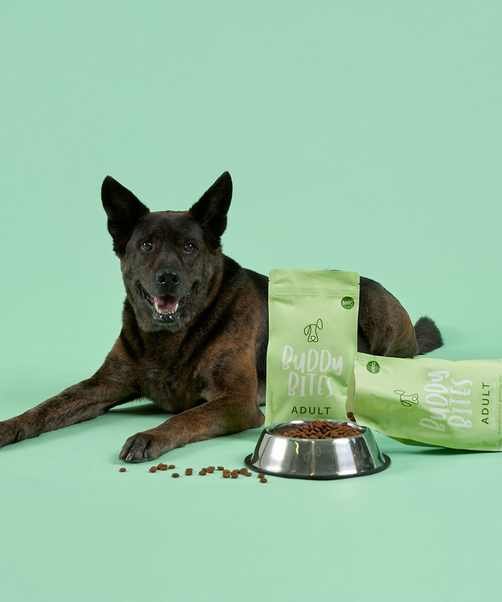 Adult Duck Dry Dog Food 500g