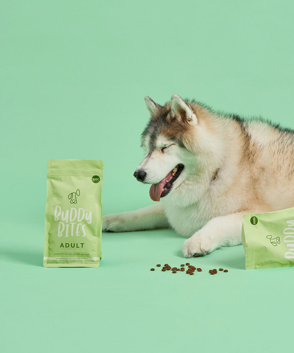 Adult Duck Dry Dog Food 500g