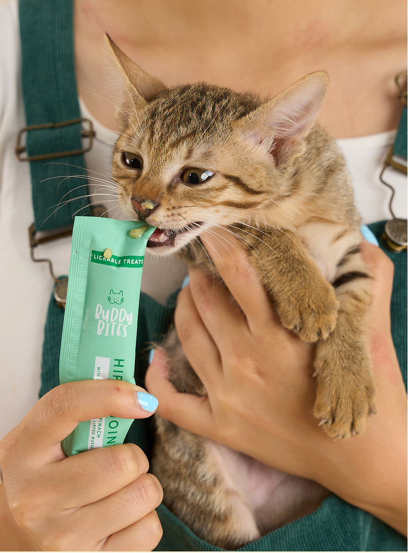Cat Lickable Treats - Hips & Joints - Chicken with Spinach Box (15gx7)