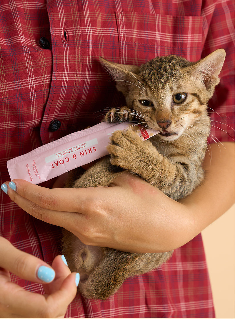 Cat Lickable Treats - Skin & Coat - Salmon with Pumpkin 15gx7