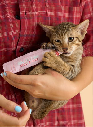 Cat Lickable Treats - Skin & Coat - Salmon with Pumpkin 15gx7