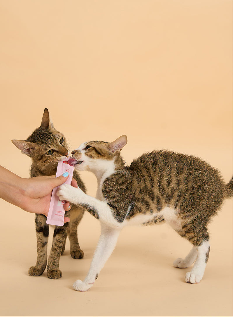 Cat Lickable Treats - Skin & Coat - Salmon with Pumpkin 15gx7