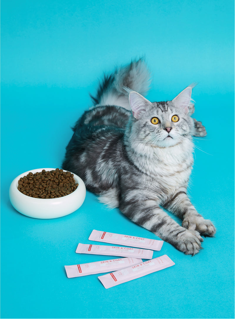Cat Lickable Treats - Skin & Coat - Salmon with Pumpkin 15gx7
