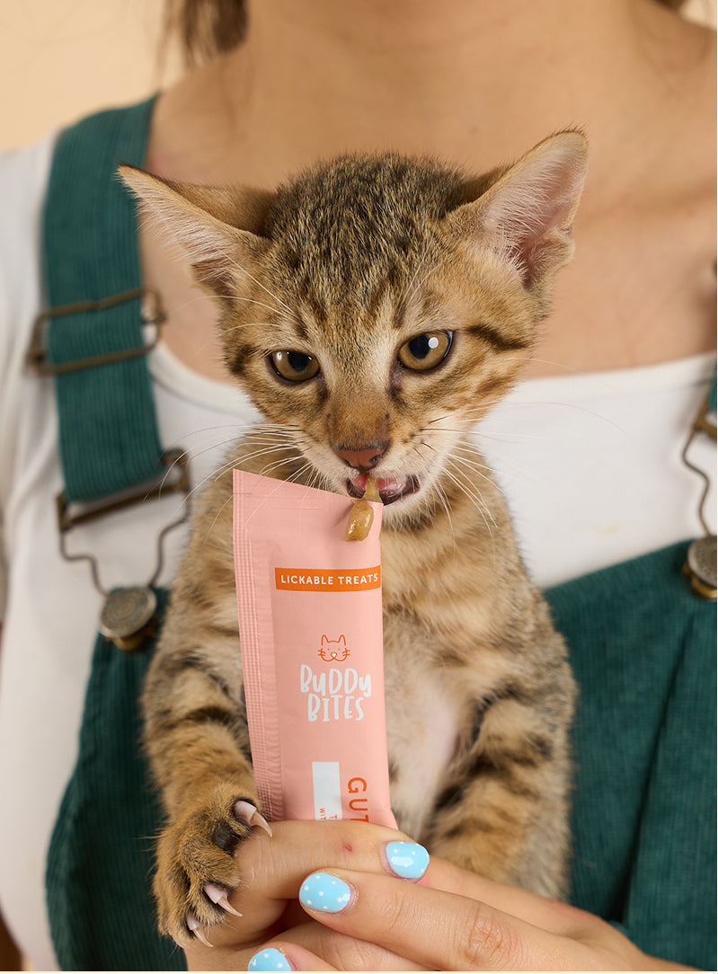 Cat Lickable Treats - Gut Health - Tuna with Seaweed Box 15gx7