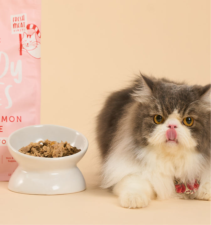 Cat Food Topper (Pouch) - Tuna with Pumpkin in Broth 70g