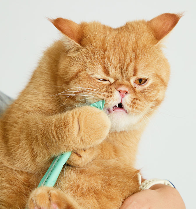 Cat Lickable Treats - Hips & Joints - Chicken with Spinach Box (15gx7)