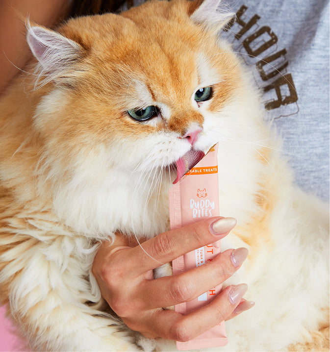 Cat Lickable Treats - Gut Health - Tuna with Seaweed Box 15gx7