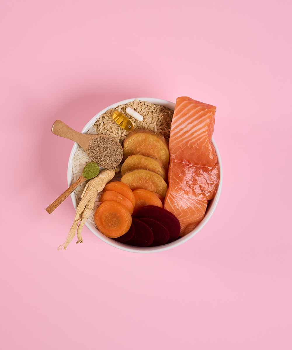 Adult Mini Salmon Dry Dog Food