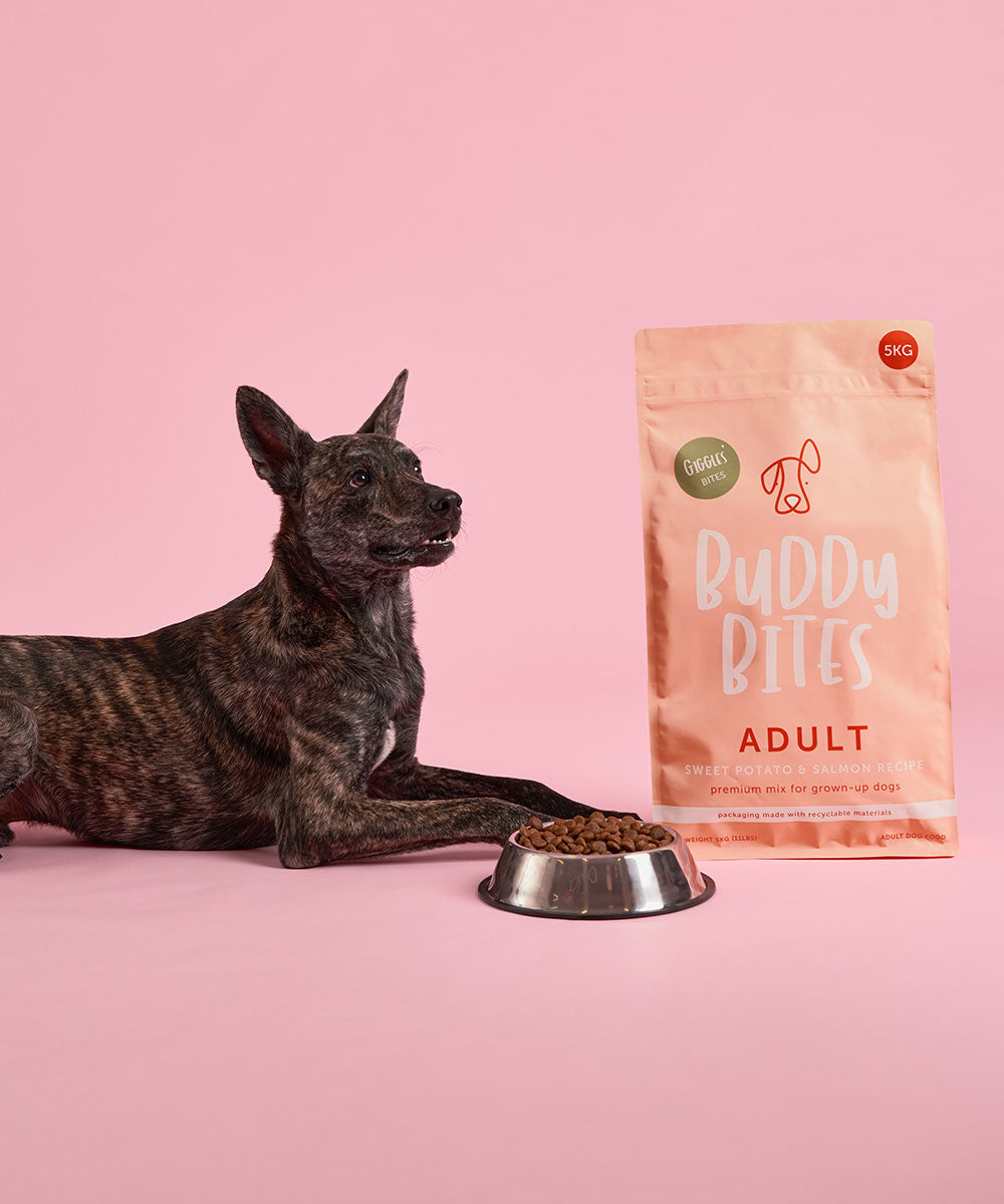 成犬三文魚甜薯乾狗糧