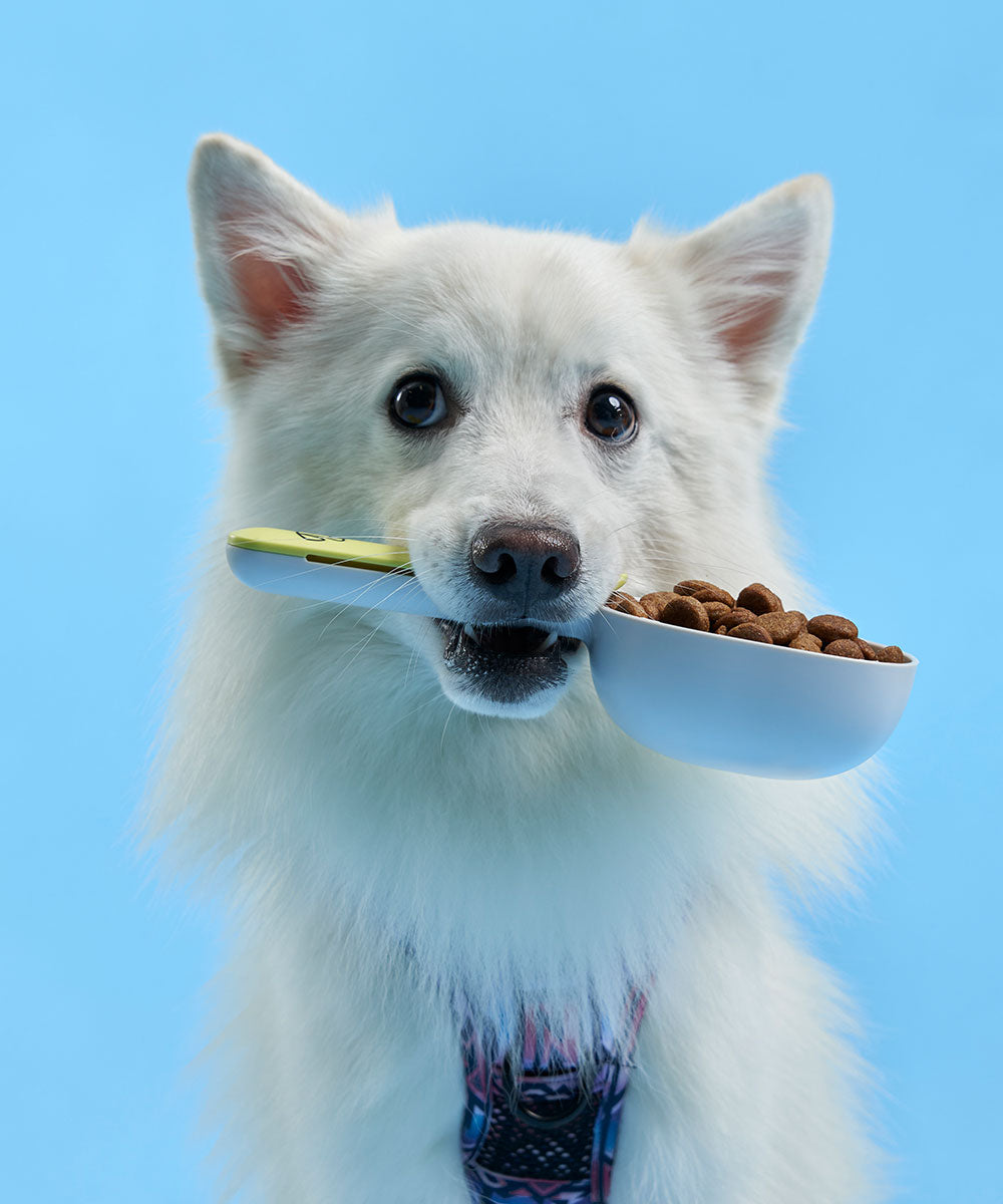 Buddy Bites 狗糧計量勺