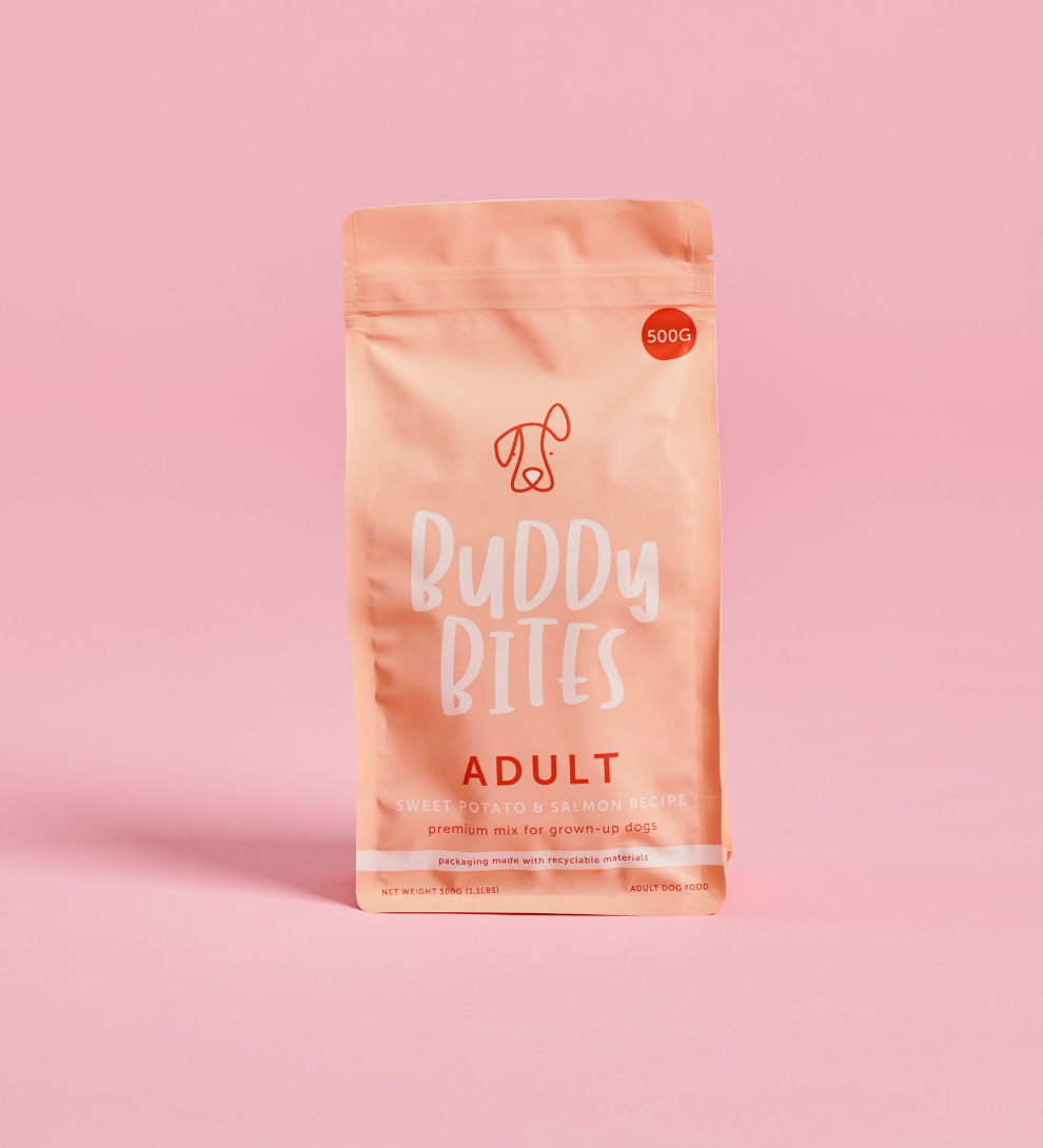 Adult Salmon Dry Dog Food 500g