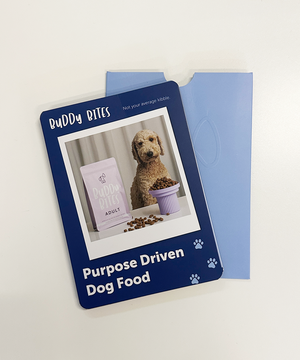 New Welcome Booklet
