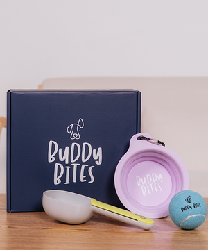 Subscriber Welcome Box (Dog)