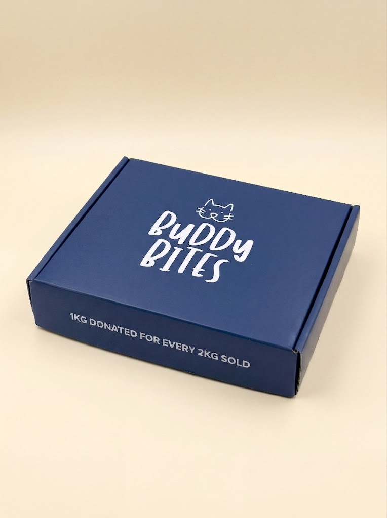 Cat Subscriber Welcome Box
