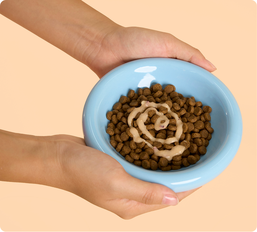 About Us Best Pet Health