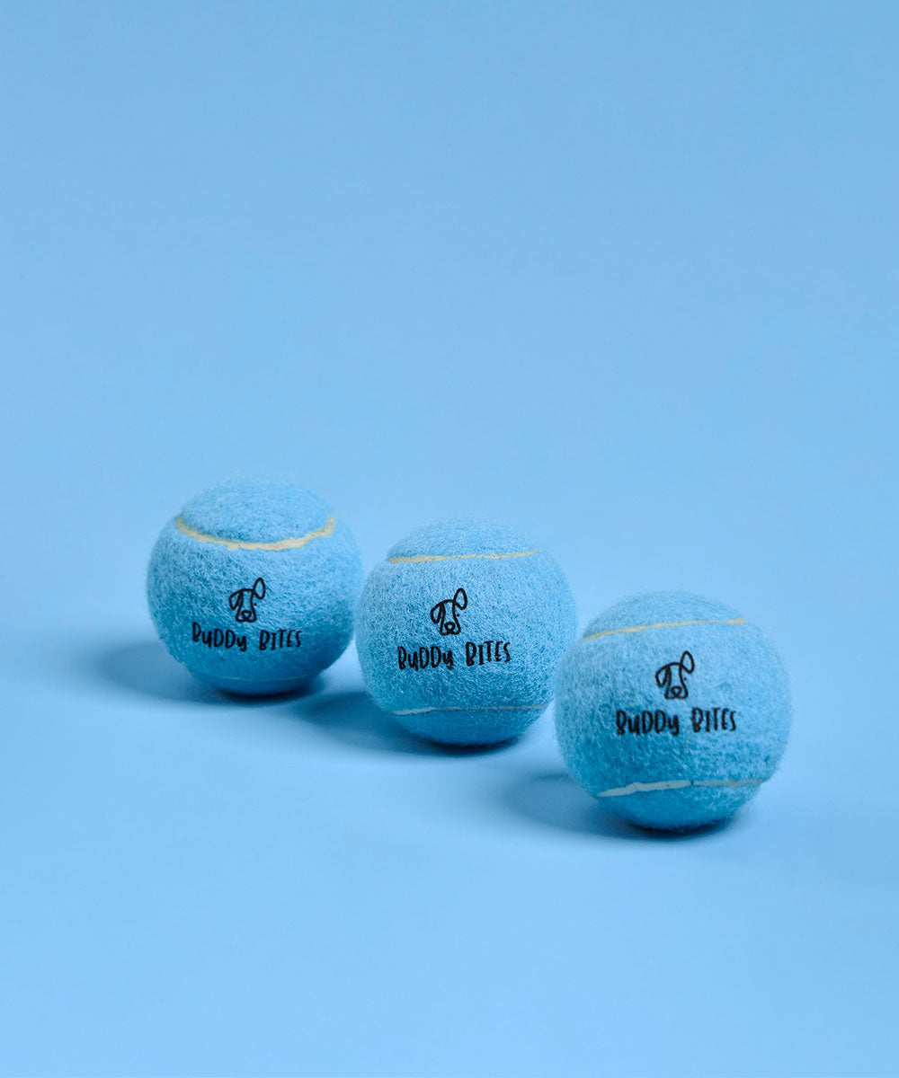Buddy Bites 網球