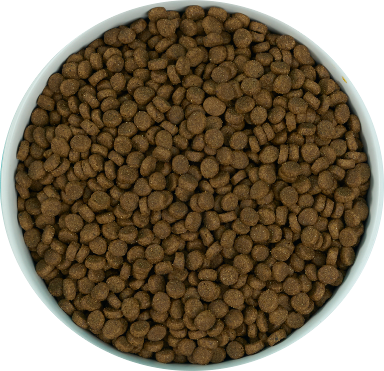 Cat Chicken Kibbles Recipe