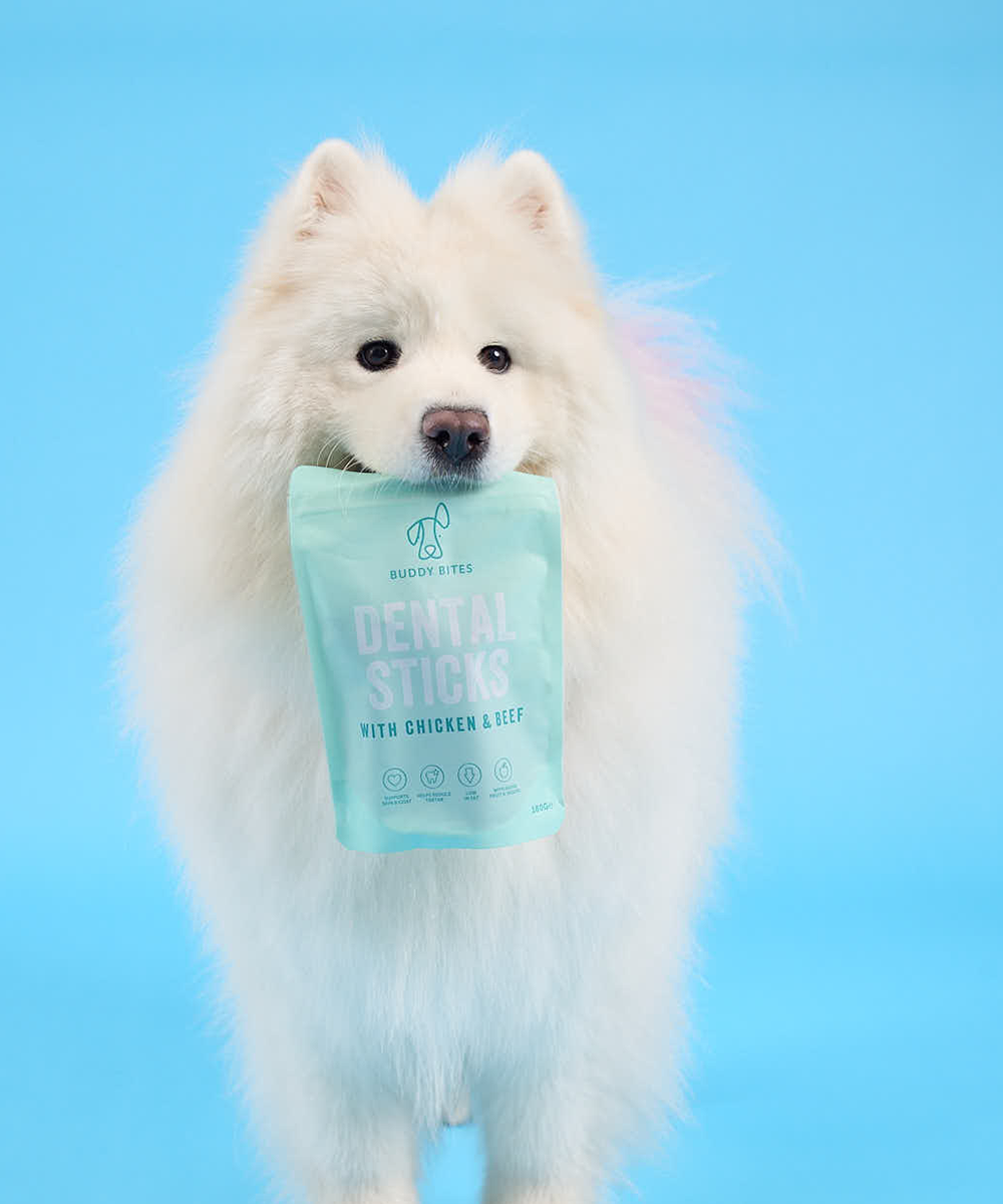 3 Pack Dog Dental Sticks