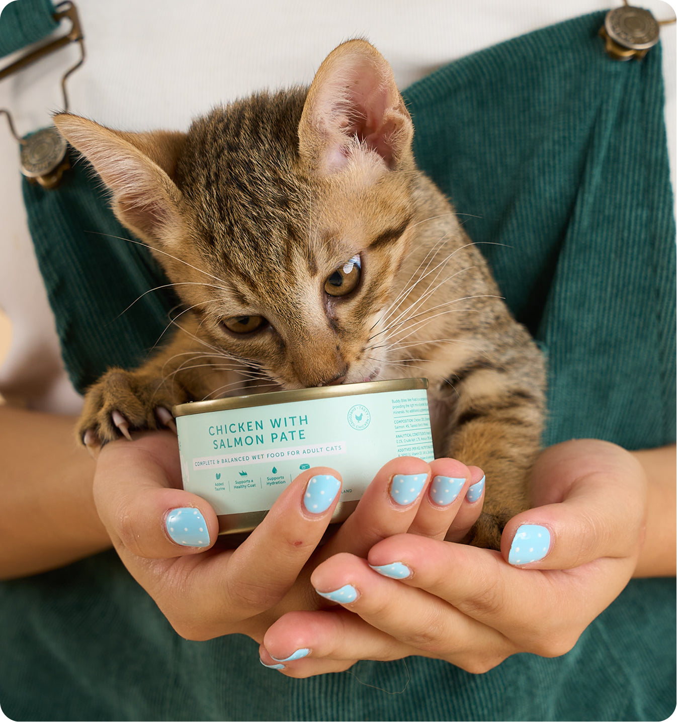 Cat Can - Chicken with Salmon Pate 85g