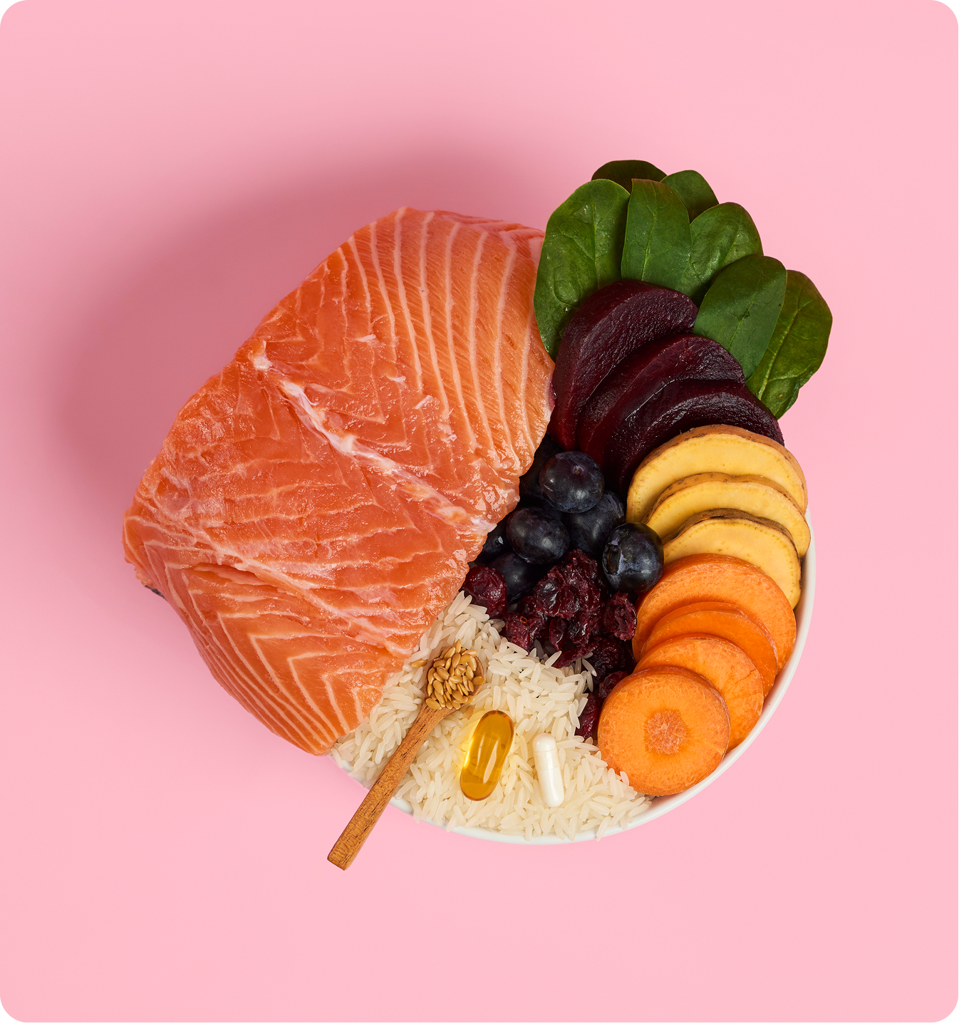 Cat Salmon Kibbles Recipe