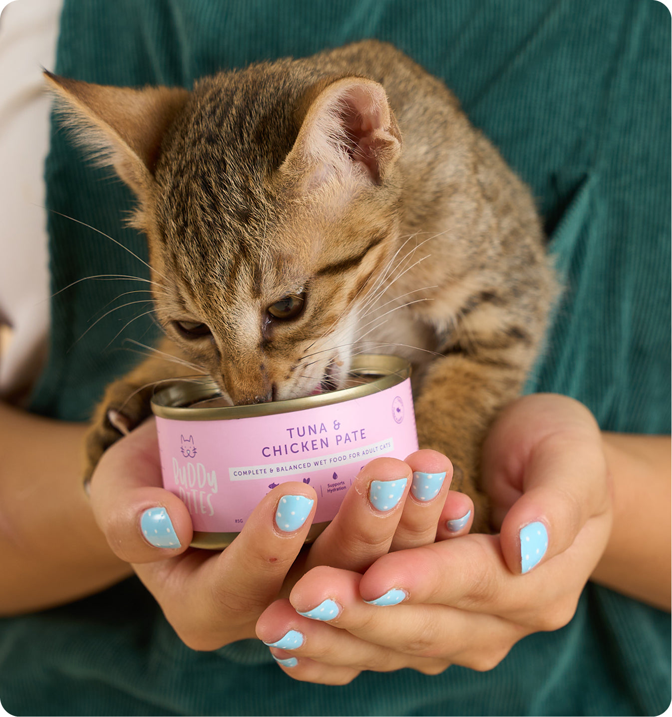 Cat Can - Tuna and Chicken Pate 85g