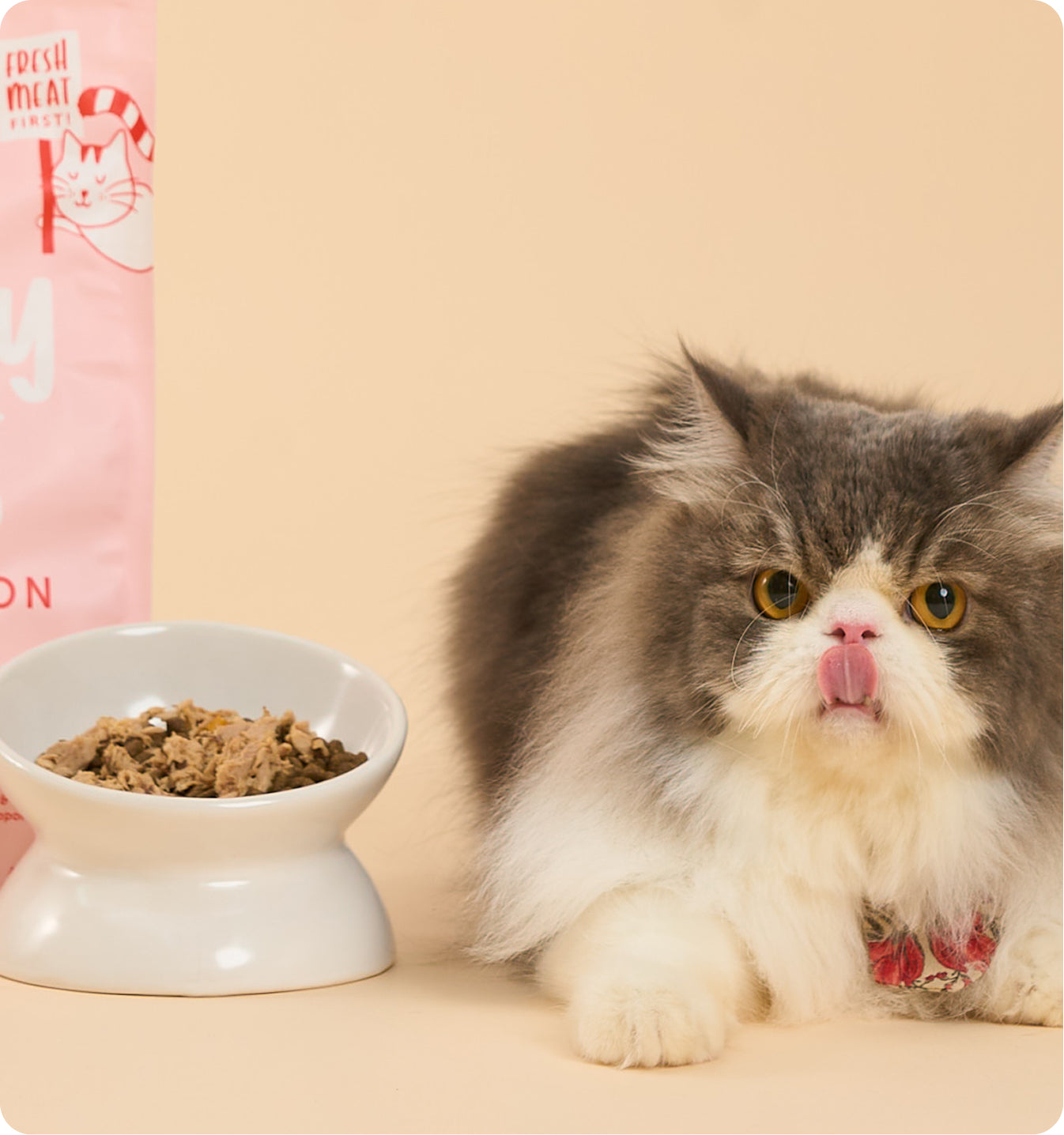 Kibbles Ingredients Poster Image