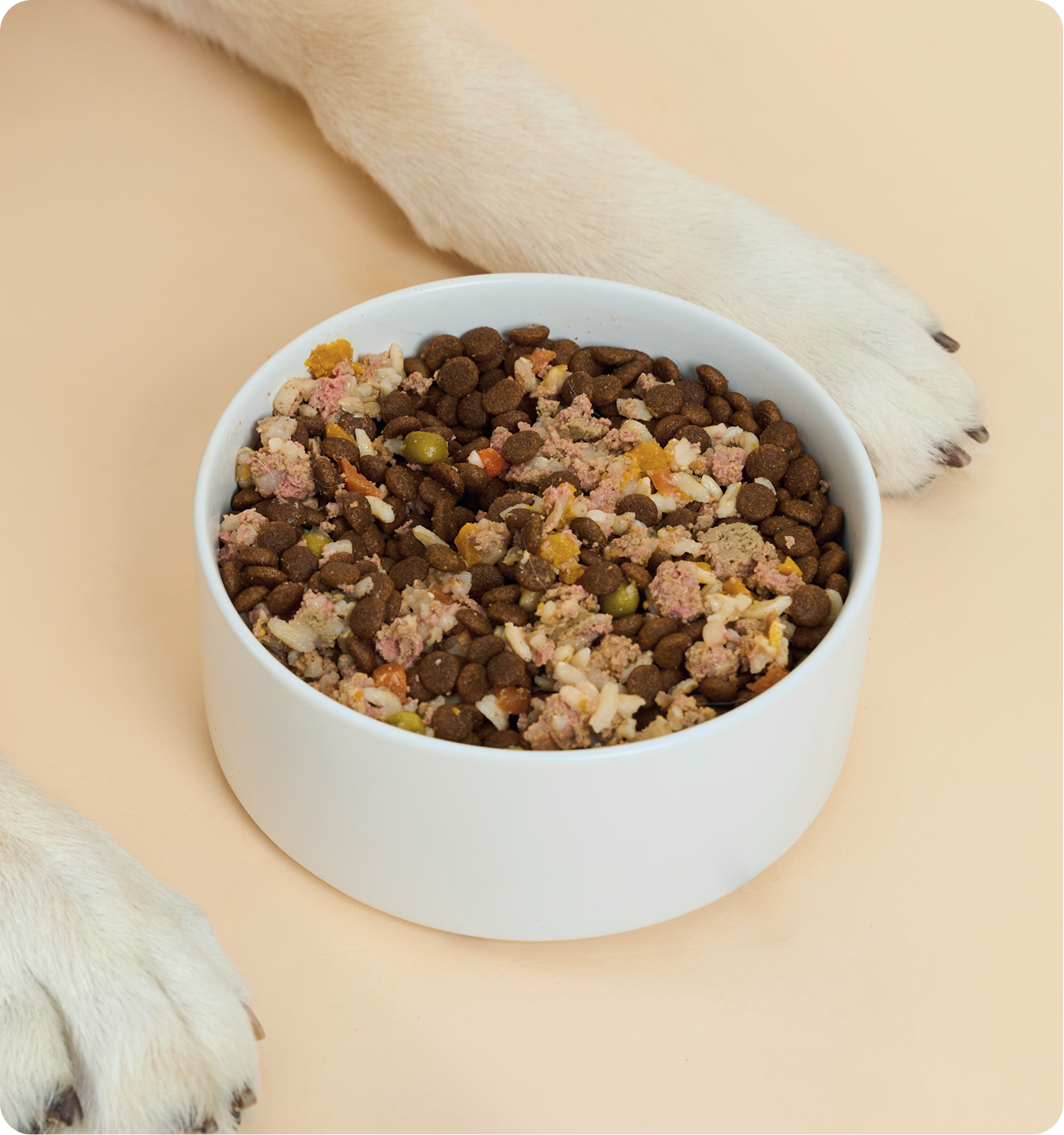 Kibbles Ingredients Poster Image