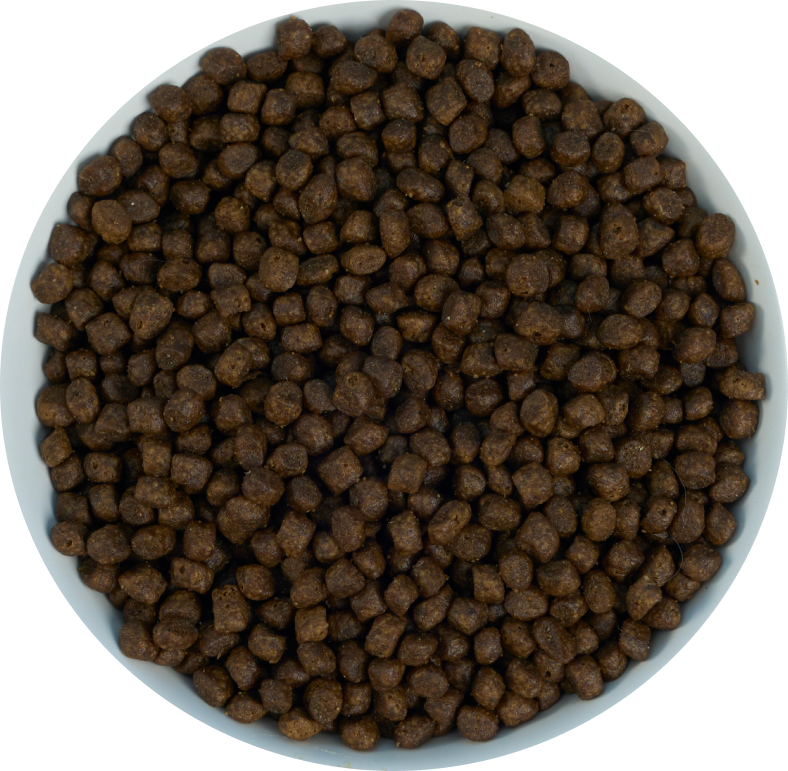 Kitten Chicken Kibbles Recipe