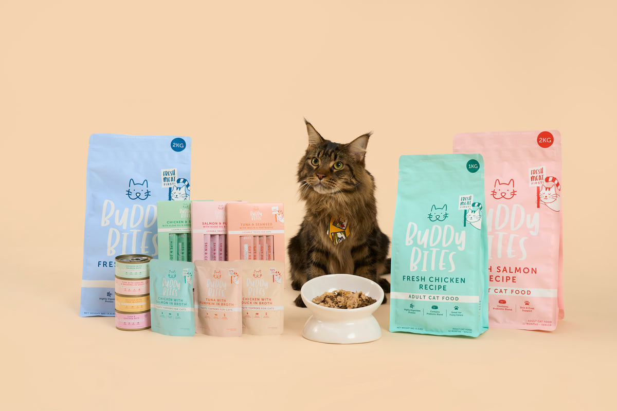 Buddy Bites cat food range