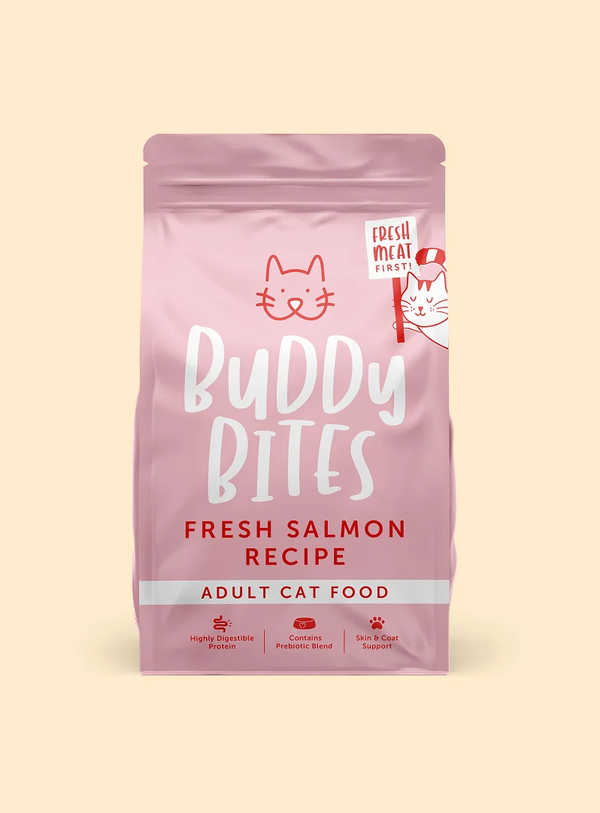 Adult Salmon Recipe