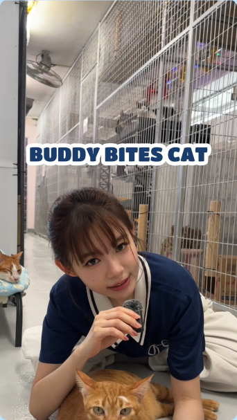 Lin Min Chen on a shelter visit