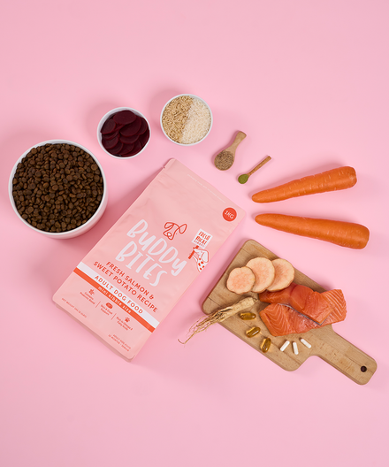 Buddy Bites Adult Mini Salmon Dry Dog Food